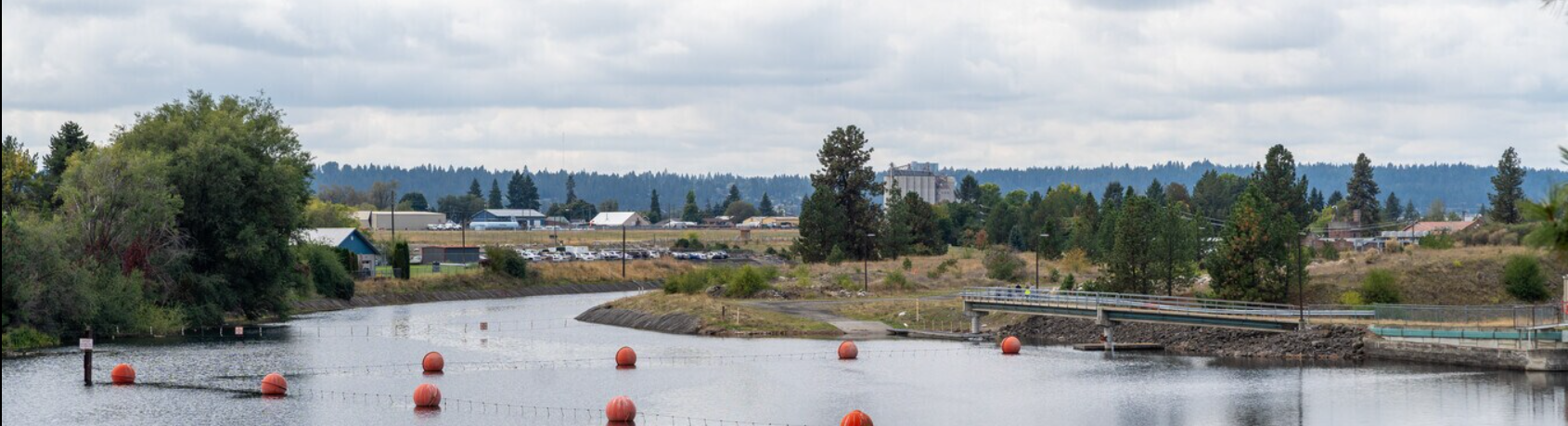 photo of the Spokane river seen from the Minnehaha Neighborhood. Photo includes trees along the river with buildings and homes in the background.